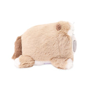 Ragdoll Pandaroll Small Outfitz Plush