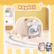 Ragdoll Pandaroll Small Outfitz Plush