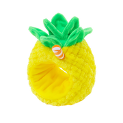 Pineapple Juice (Outfitz only) - Small